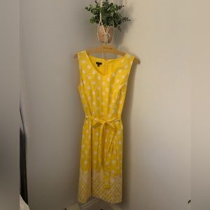 Talbots Pineapple Embroidered Polka Dot Dress Tie Belt Sleeveless Size 12
